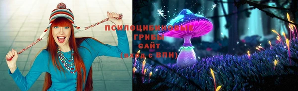 хмурый Алексин