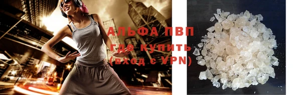 хмурый Алексин