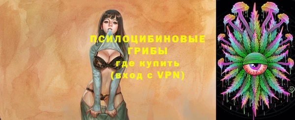 соль ск Алексеевка